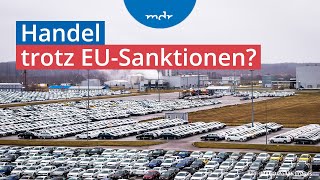 Umgehen von Sanktionen Wie deutsche Autos nach Russland kommen  Plusminus  MDR [upl. by Ilam]