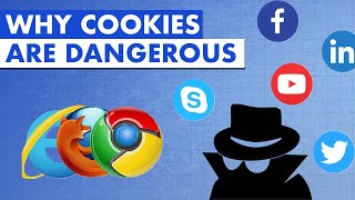 INTERNET PRIVACY AND COOKIES WHAT WE SHOULD ALL KNOW [upl. by Goddord]