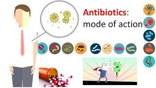 Microbiology  How does antibiotics work [upl. by Gorman]