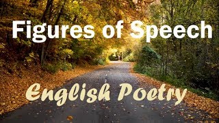 Figures of Speech  Part 1  Poetry  Poetic Devices  English Grammar [upl. by Nereen]