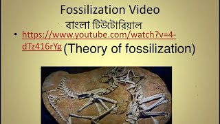 Fossilization  Theory of fossilization  In Bangla [upl. by Salinas]