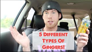 5 Different Types Of Gingers [upl. by Eiramit780]