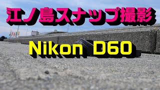 Nikon D60 CCD 4K photo PART4 撮影地｜江ノ島 Kanagawa [upl. by Ashien]