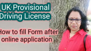 🇬🇧UK Malayalam VlogsHow to fill DVLA form after online application UK Provisional License 🇬🇧 [upl. by Jocelyn]