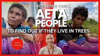 Do Aetas Live in Trees The Natives of The Philippines [upl. by Eppillihp]