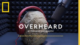 The Ancient Orchestra  Podcast  Overheard at National Geographic [upl. by Maltz477]