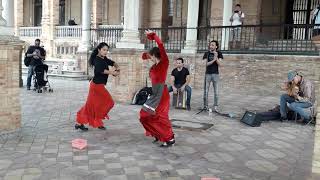 Flamenco en Plaza de Espana Sevilla  Sevilhanas [upl. by Nivrac]