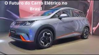 CARRO ELETRICO NO BRASIL A VERDADE REVELADA PELO PRESIDENTE DA JAC MOTORS [upl. by Nivonod]