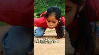 Wow A lot of snails have emerged 😲 camping survival outdoors lifehack [upl. by Eiramyma]