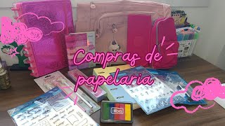 Compras de papelaria acumulada Planner caderno de discos e MAIS [upl. by Daisy934]