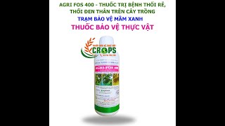 AGRI FOS 400 – THUỐC TRỊ BỆNH0776755793thuốcbảovệthựcvậtvn phấntrắng [upl. by Yreneh]