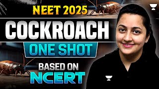 Cockroach  One Shot  Based on New NCERT  NEET 2025  Infinity Series  Ambika Maam [upl. by Suoivatco]