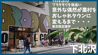 ブラタモリ 「なぜ若者は“シモキタ”で夢を見る」を後追い【下北沢】【再開発】【古着】【散歩】【歴史】【解説】【小田急】【井の頭線】【高級住宅街】 [upl. by Neeli]