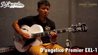 Preview DAngelico Premier Series Exl1 by Mr Don pengboon Track1 [upl. by Galvin545]