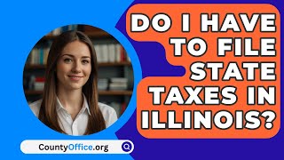 Do I Have To File State Taxes In Illinois  CountyOfficeorg [upl. by Eetnwahs534]