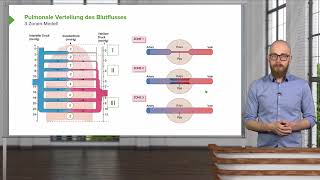 Atmungsphysiologie I Lungendurchblutung 3ZonenModell I Srdjan Maksimovic [upl. by Anasor]