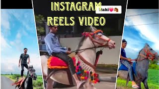 Horse riding video kathiyawadi horse video Instagram reels video [upl. by Sayles]