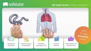 Zentrales und peripheres Nervensystem einfach erklärt – Biologie 7  10 Klasse [upl. by Merdith]