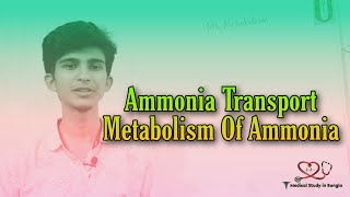 Ammonia Transport  Ammonia Metabolism  Chori Cycle [upl. by Bronk56]