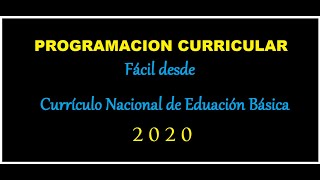 PROGRAMACION ANUAL 2020 Programacion Curricular 2020 MINEDU🌴💥 [upl. by Brit185]