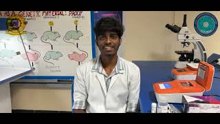 Polymerase Chain Reaction PCRBiotech labVSBKarur [upl. by Sayers]