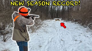 LATE Season Rabbit Hunting w Beagles NEW SEASON RECORD [upl. by Zysk]