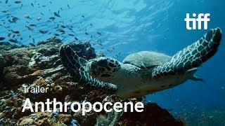 ANTHROPOCENE Trailer  TIFF 2018 [upl. by Ailes226]