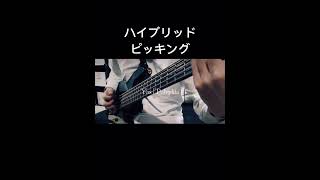 Yas  Polyphia  Bass Cover ベース 弾いてみた ハイブリッドピッキング [upl. by Spiegel429]