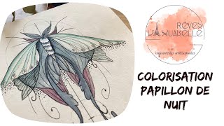 Colorisation aquarelle dessin papillon de nuit pas à pas Rêves d’aquarelle Jardin d’hiver [upl. by Aleras]