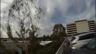 Stealth bomber B2 flyover of Pasadena Rose Parade 2013 [upl. by Sharp]