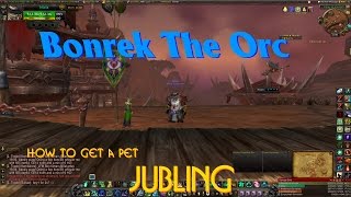 WoW How To Get A Pet Jubling [upl. by Hephzipa]