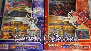 Ouverture des Coffrets Pokémon XY2 Collection Xerneas amp Yveltal  MEGA DRACAUFEU EX [upl. by Nayb]