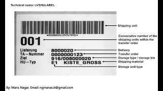 SAP EWM Handling Unit Technical Labels amp Barcodes [upl. by Buddy448]