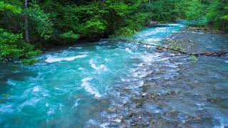 Calming Sound of Turquoise Mountain River Nature Sounds Flowing Water White Noise for Sleeping [upl. by Omocaig]