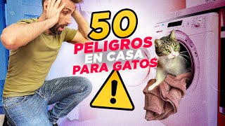 50 PELIGROS EN CASA cuando vives CON UN GATO ⚠️🙀 [upl. by Bayless]