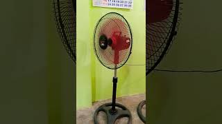 centrix electric fan eureka ceiling clip fan shorts Electricfan [upl. by Aikemot]