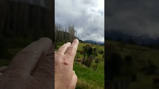 Aysen Patagonia land for sale 3000 Hectares of land near Aysen with limited access Rare Find [upl. by Queen]