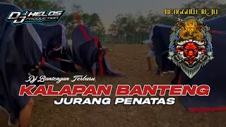 DJ Bantengan Kalapan Jurang Penatas BENGGOLO REJO Terbaru [upl. by Swiercz358]