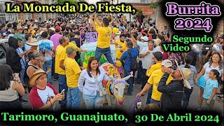 TarimoroGuanajuato La Moncada De Fiesta Burrita 2024 Segundo Video 💿📼💿 30 De Abril 2024 [upl. by Aihset]