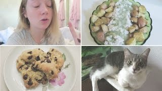 So mache ich meine Dillsoße What I Ate Wednesday Vegan  Fiepmatz [upl. by Esertal]