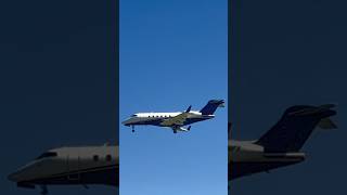 Amazing Flexjet Bombardier Challenger 300 Landing At IDA viralshorts aviation [upl. by Aciretal]