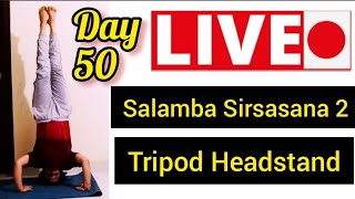 LiveSession50Tripod Headstand – Sambla Sirsasana 2OnlineYogaFlexibility Stretch Hathayoga [upl. by Madaih]