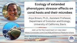 W3 seminar Ecology of extended phenotypes stressor effects on coral hosts and their microbiomes [upl. by Glasgo]