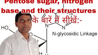 pentose suger Nitrogen base and their structures के बारें में सीखेंNCERTOur study roomBiology [upl. by Pippa]