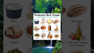 Probiotic Rich Foods for Gut Healthhealthtips healthylifestyle healthyfood food healing [upl. by Shafer136]