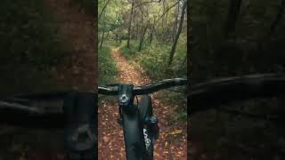 Bermwood MTB park in Columbia  Tn jumpline flowtrail progression [upl. by Yllehs]