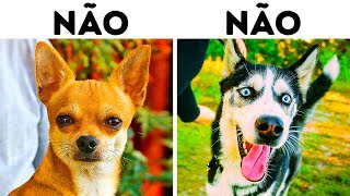 10 Raças de Cães Perigosas para Famílias com Crianças [upl. by Heiner]