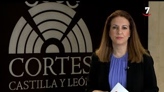 Nuestras cortes CERMI reconoce a PP y PSOE su apoyo a la reforma del término disminuido [upl. by Tristas]