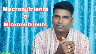 Macronutrients and Micronutrients by Subas Chandra Parida Nutrition Expert  Optimal Health [upl. by Ahsatan781]