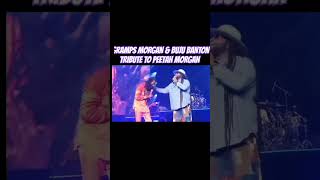 GRAMPS MORGAN amp BUJU BANTON TRIBUTE TO PEETAH MORGAN [upl. by Lepper749]